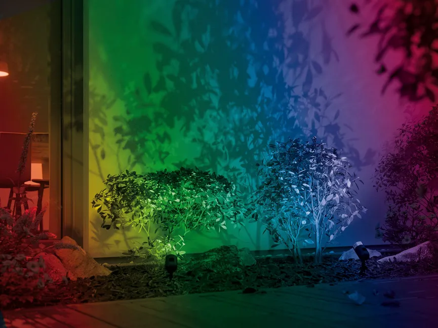 Plug&Shine Pike Basisset milieu