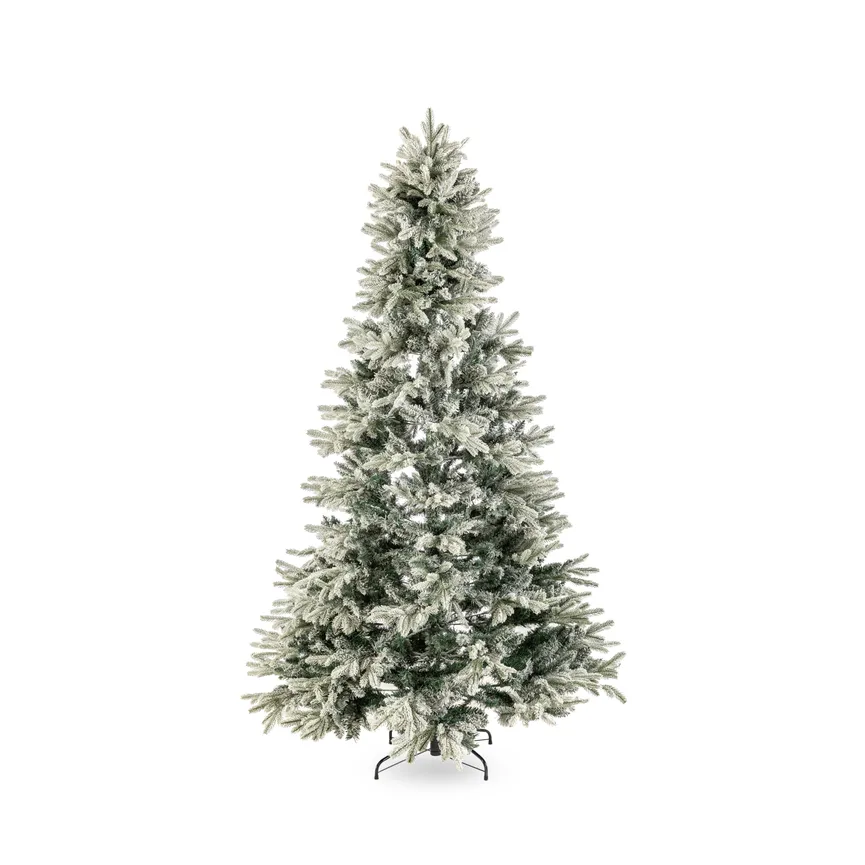 Tannenbaum M beschneit hauptaufnahme