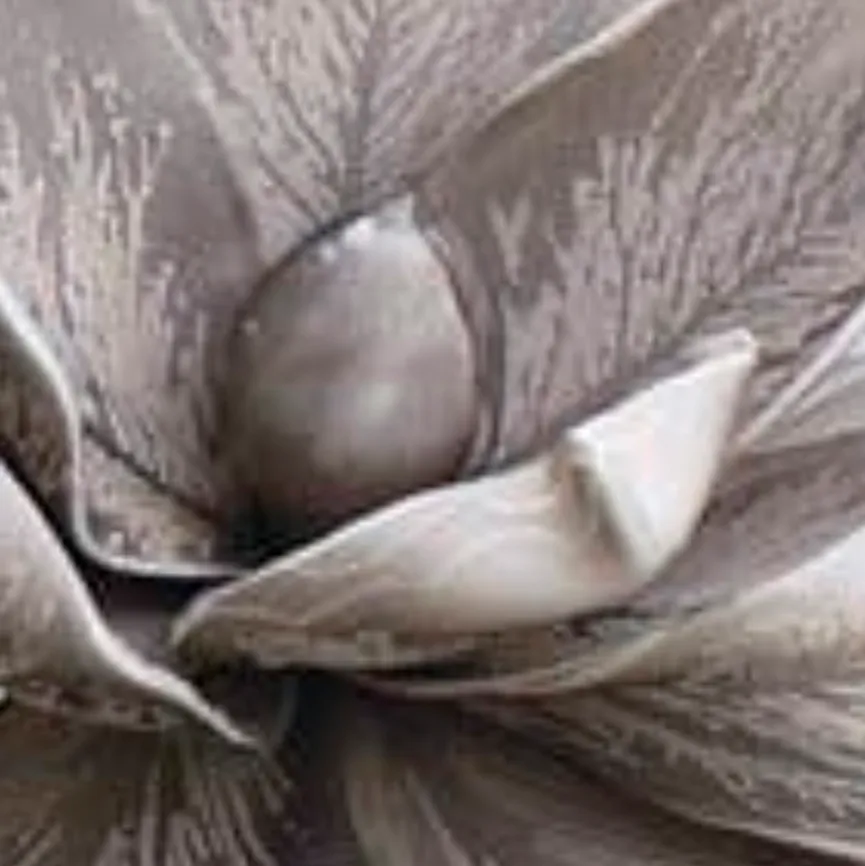 Blüte "Softflower" grau material_farbe