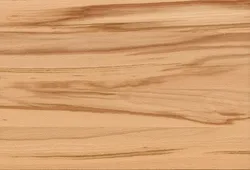 Kernbuche material_farbe