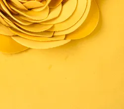 Yellow material_farbe