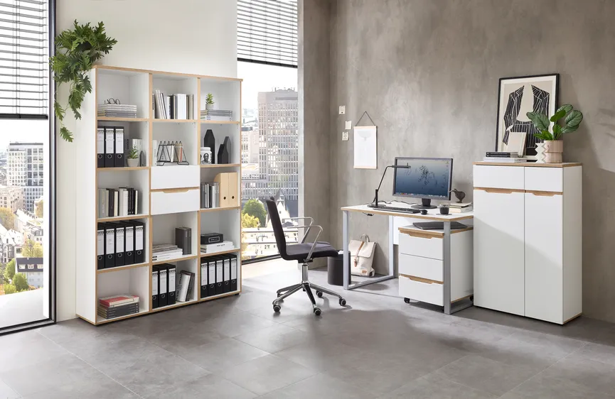 Büroregal milieu