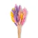 FARBE