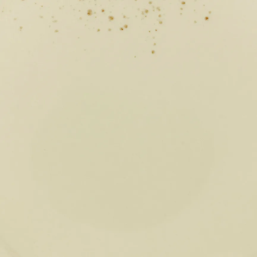 Speiseteller material_farbe