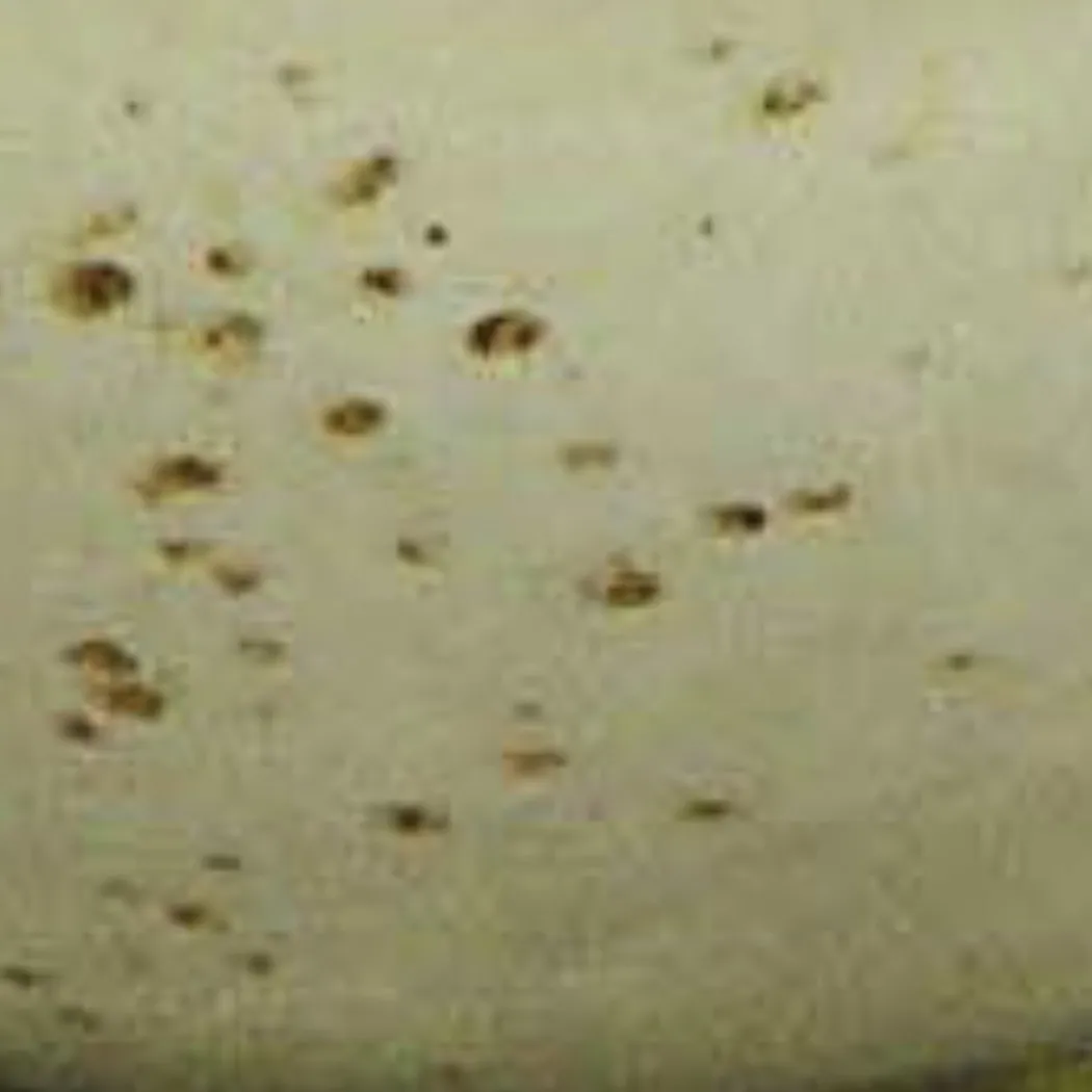 material_farbe