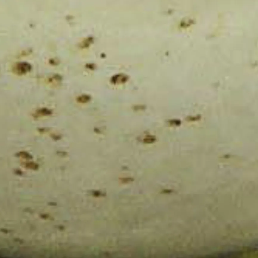 Dipschale "Nature Collection" material_farbe