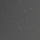 material_farbe