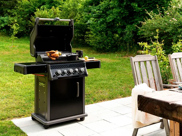 Napoleon Grills