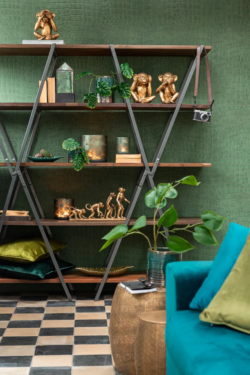 Philodendron milieu