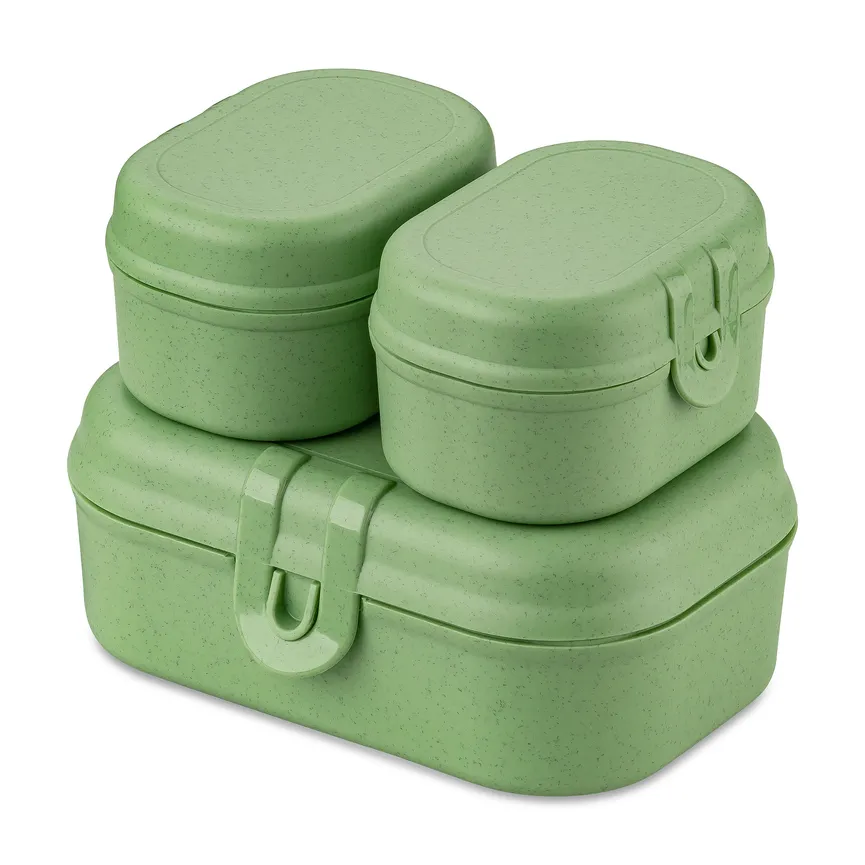 Lunchbox "Pascal" 3-tlg. grün hauptaufnahme