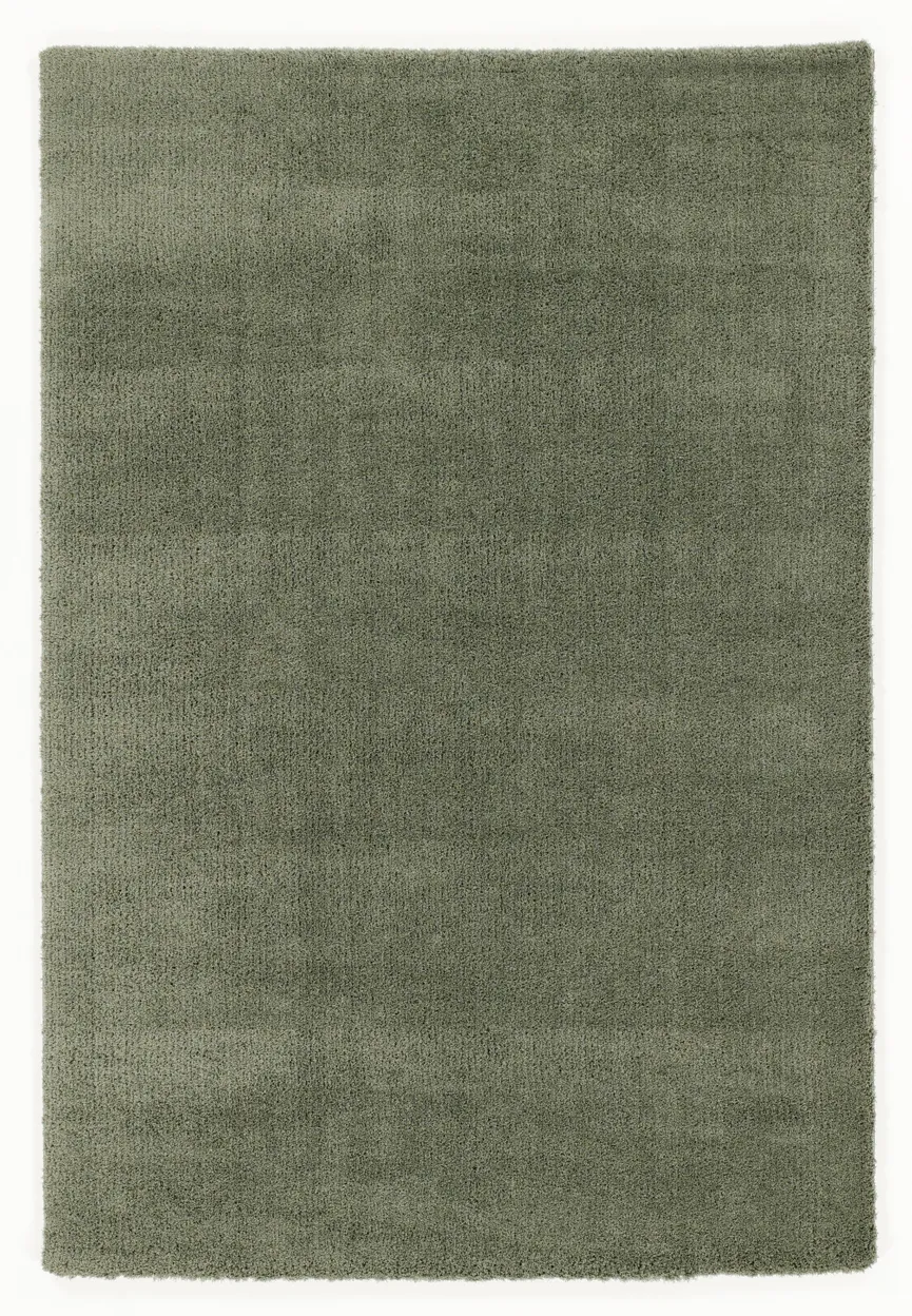 Premio hauptaufnahme