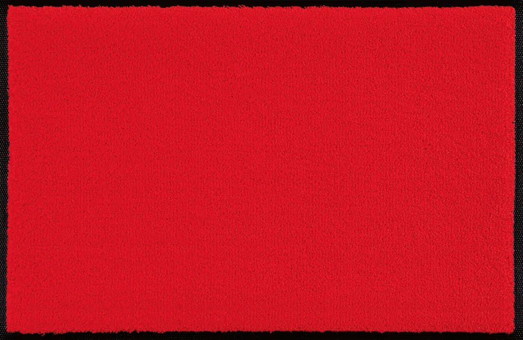hauptaufnahme