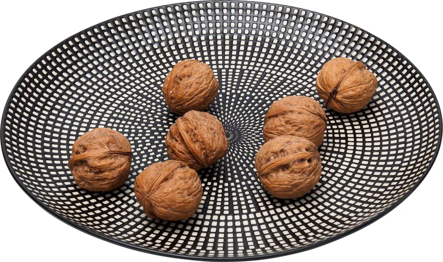 Speiseteller "Tokyo" detail