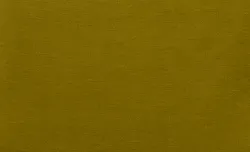 Mustard material_farbe