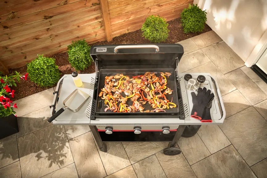 GPD 71cm Premium Plancha milieu