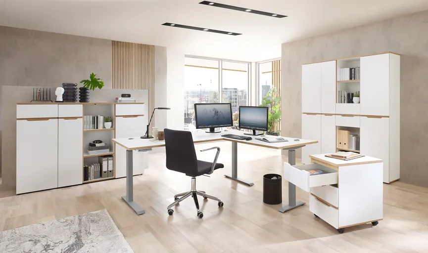 Büroregal milieu