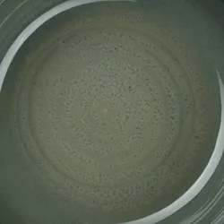 Grün material_farbe