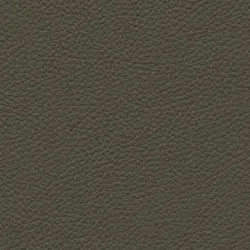 Olive material_farbe