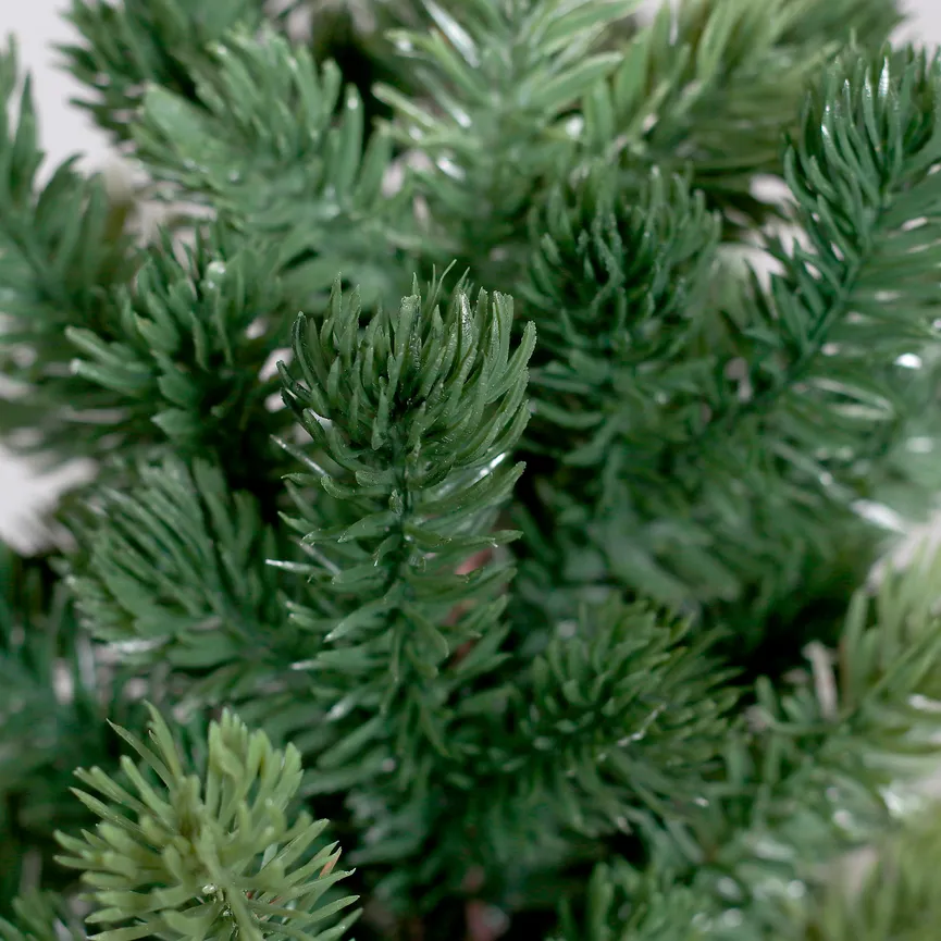 Tannenbaum M detail