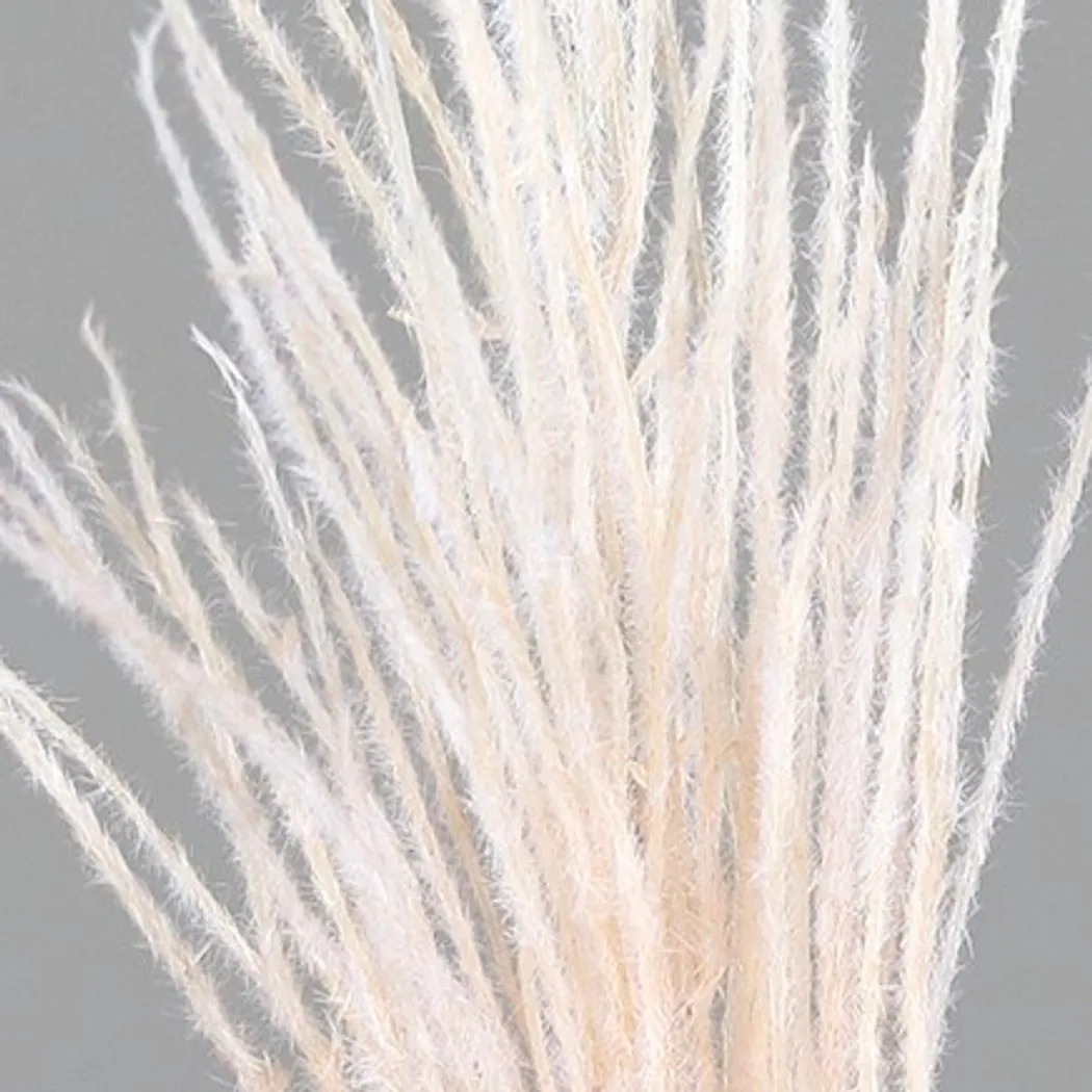 material_farbe