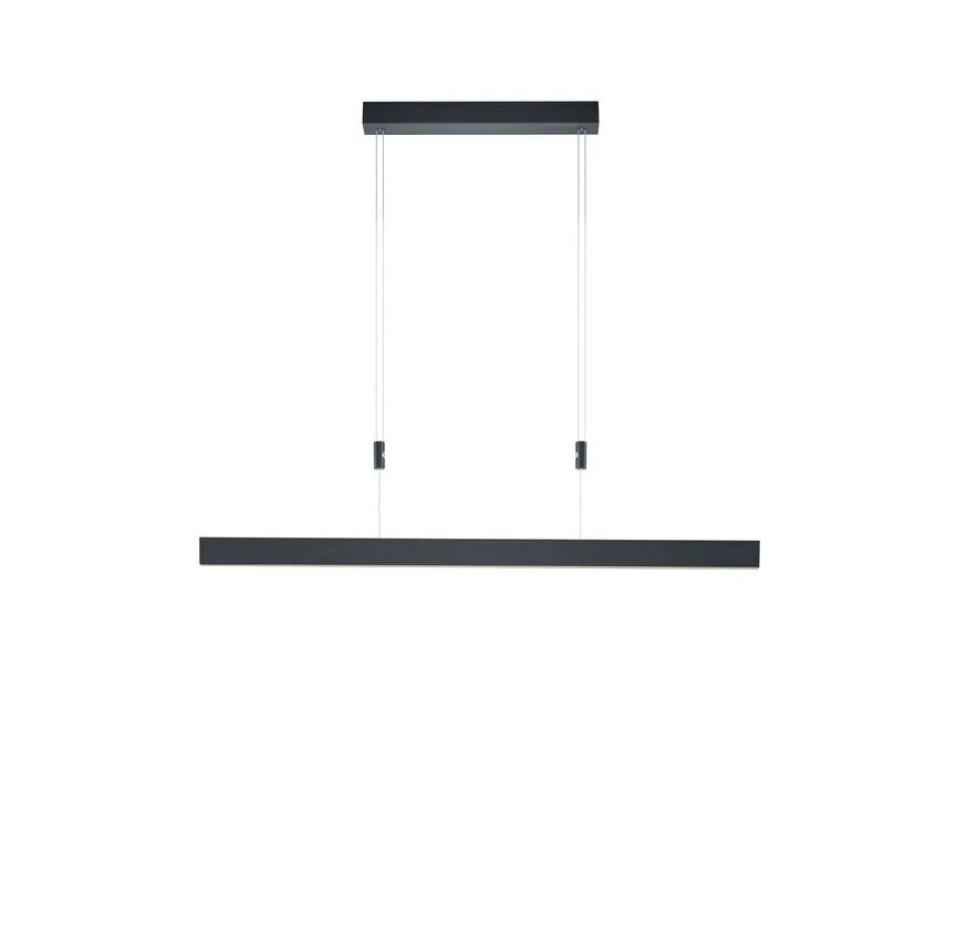 Pendelleuchte "Delta" hauptaufnahme