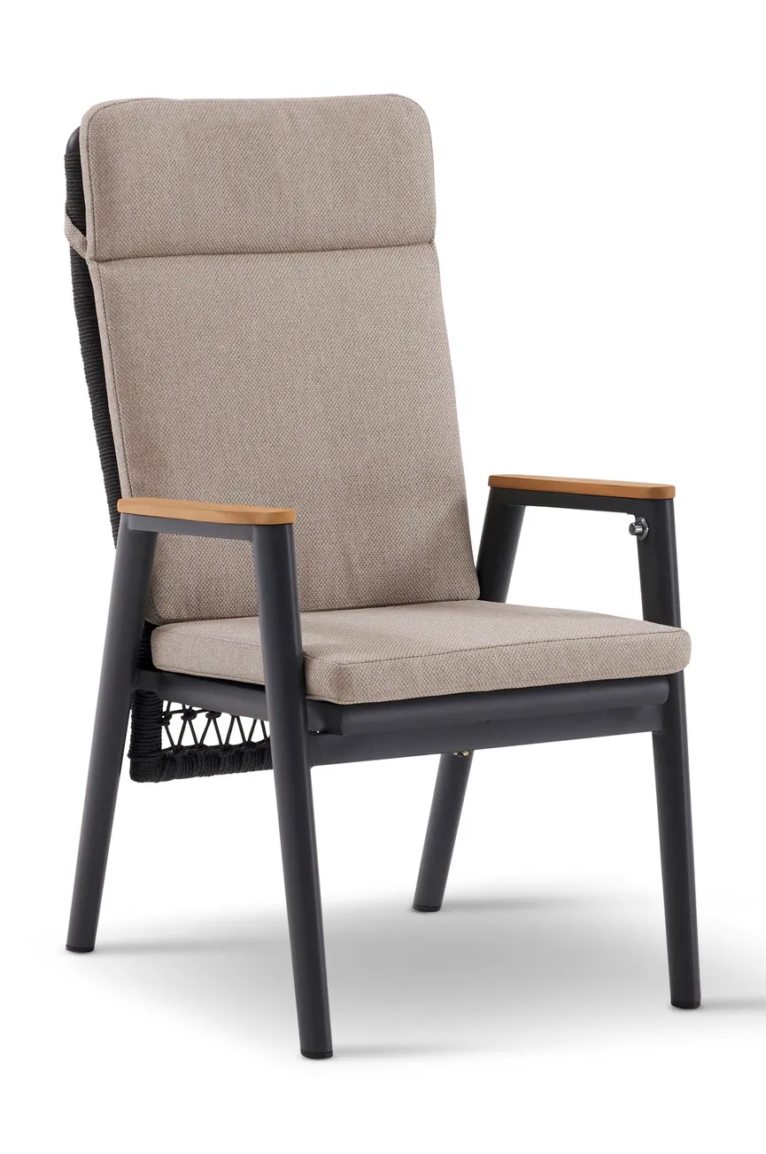 Dining Sessel hauptaufnahme