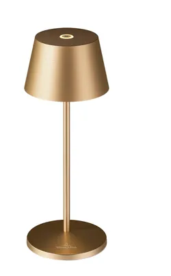 Gold / Black material_farbe