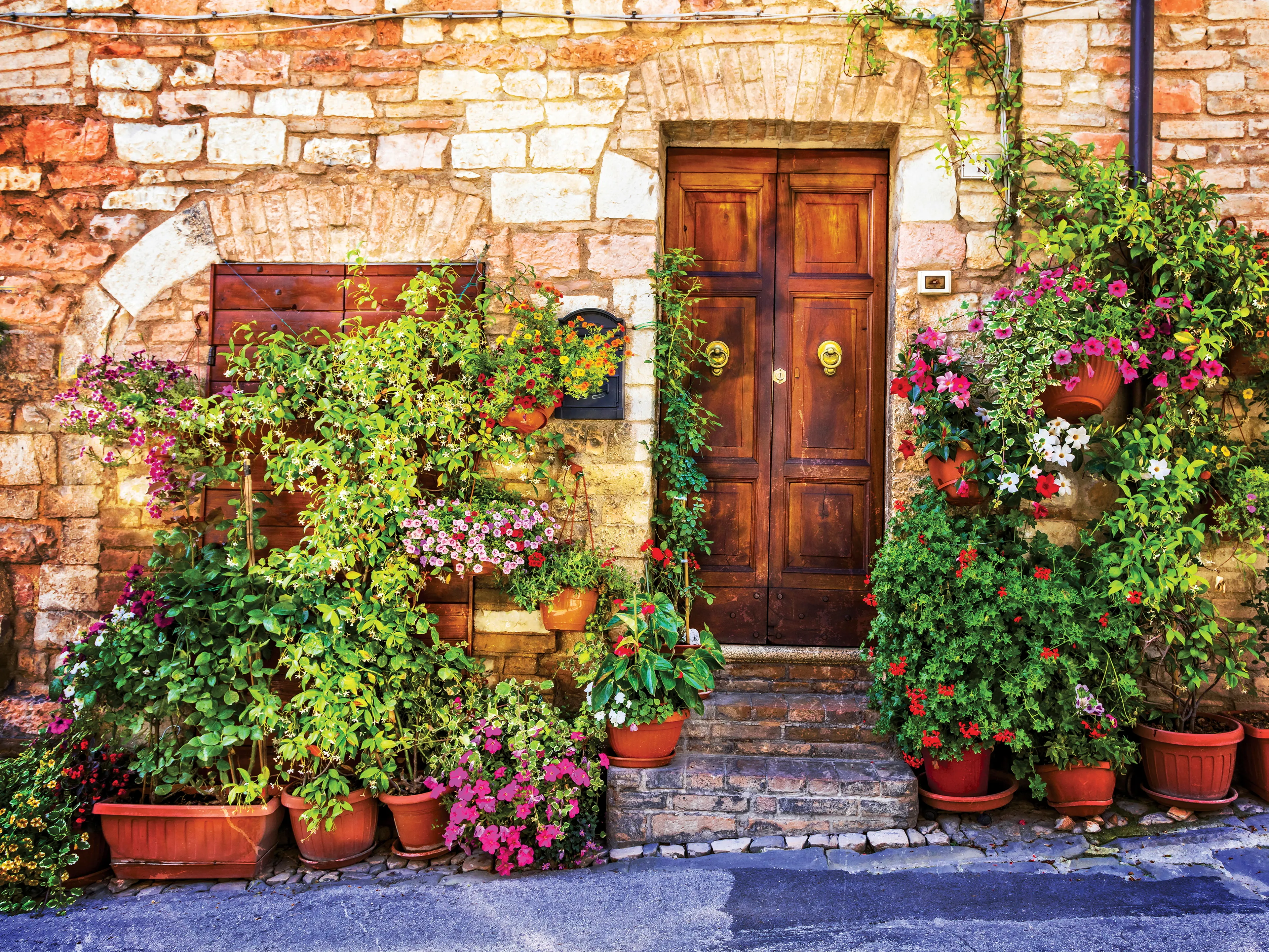 Wandbild 60 x 80 cm Charming Entrance