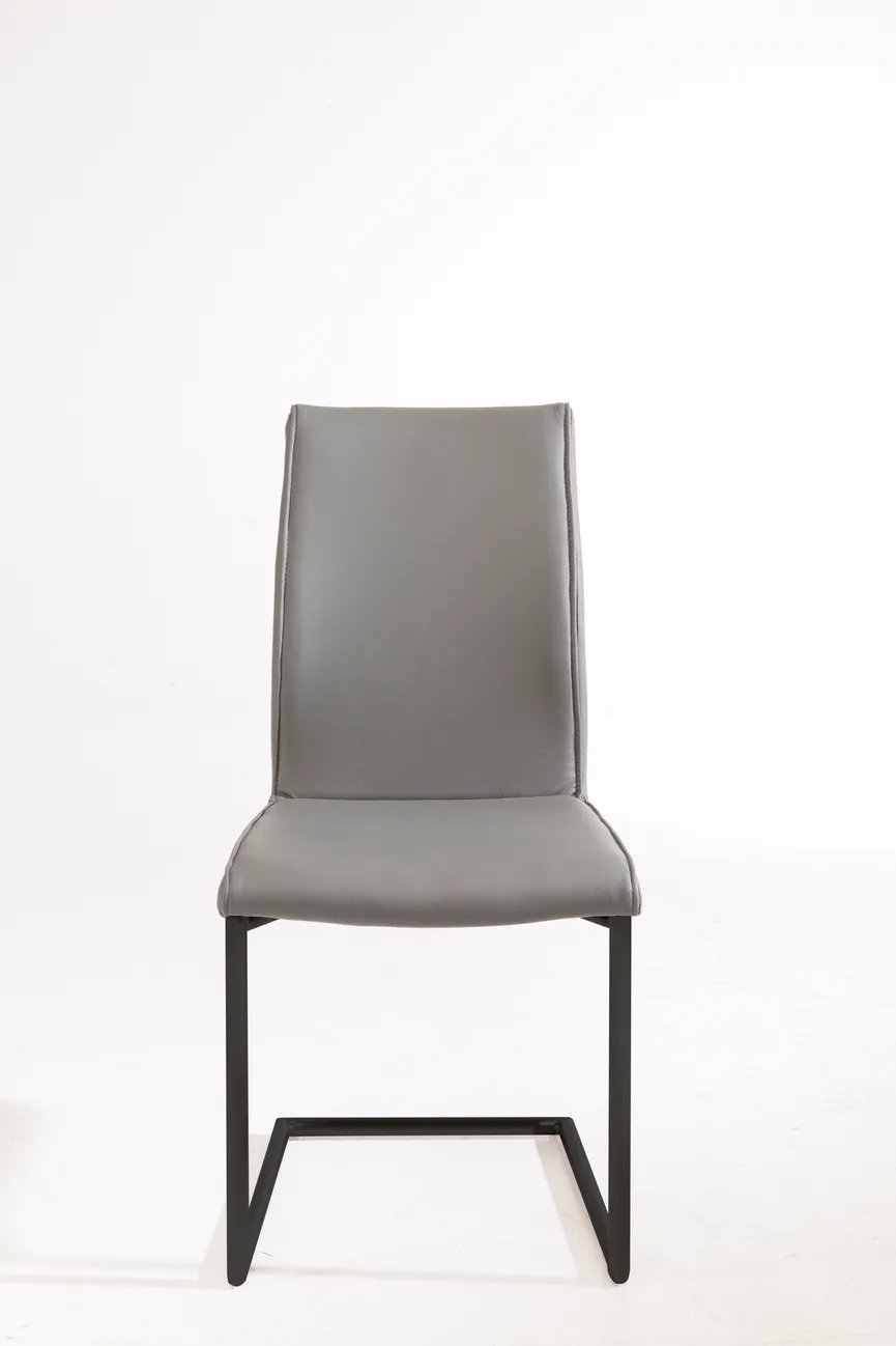 Schwinger 421 detail