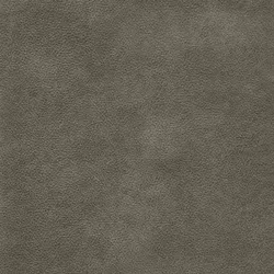 Grau material_farbe