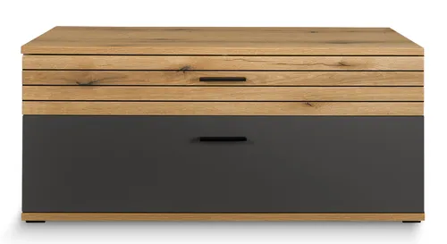 TV-Lowboard 