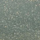material_farbe