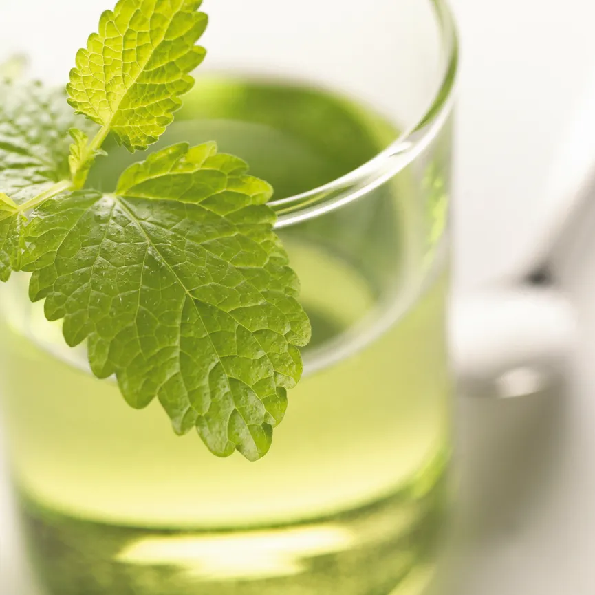 Becher "Novo" 300 ml detail