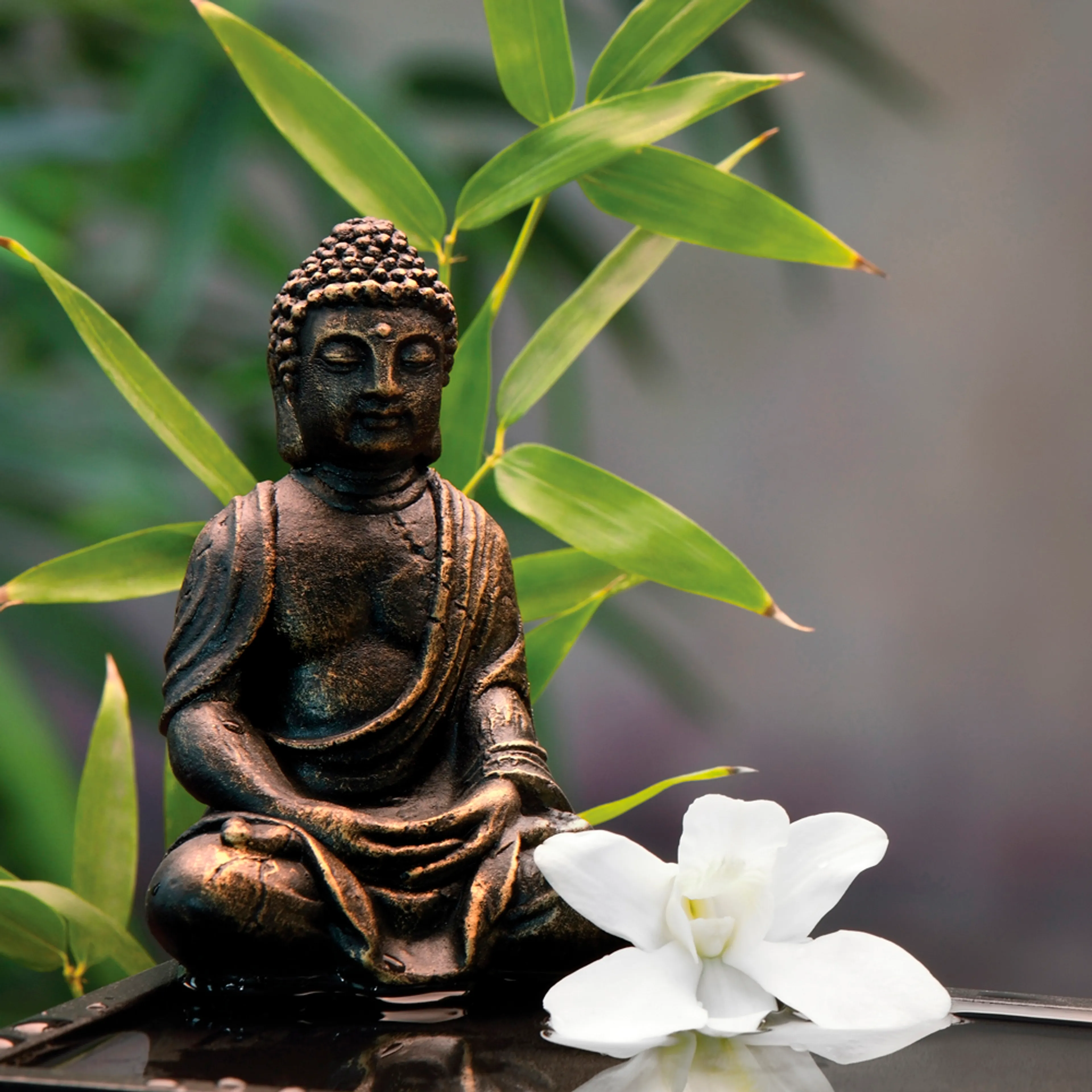 Glasbild 30 x 30 cm Zen bamboo I 
