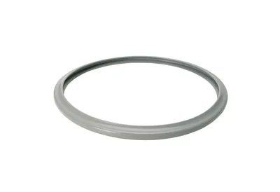Dichtungsring