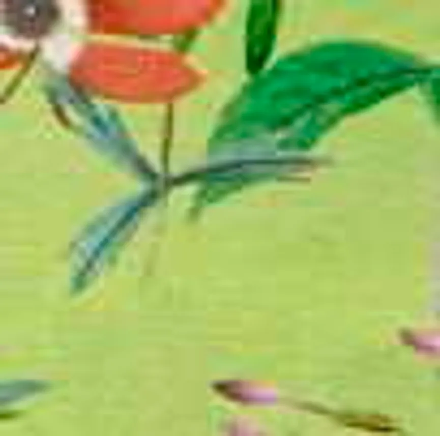 ** Niederlehner material_farbe