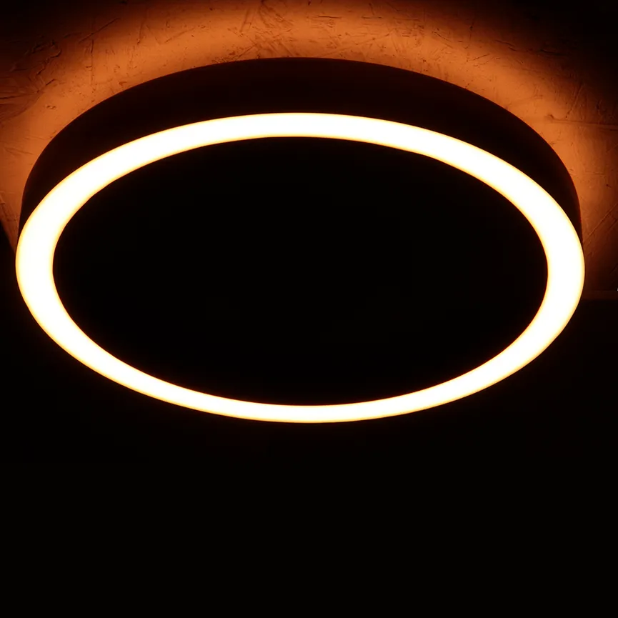 Deckenleuchte "Ringlux" milieu