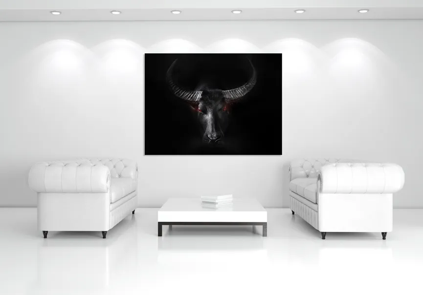 Tiere StierBlack Taurus milieu
