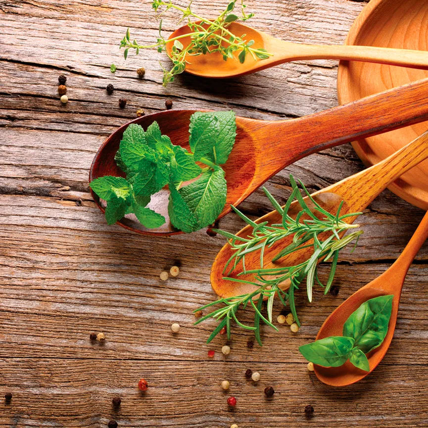 Küche - Herbs of Provence I hauptaufnahme