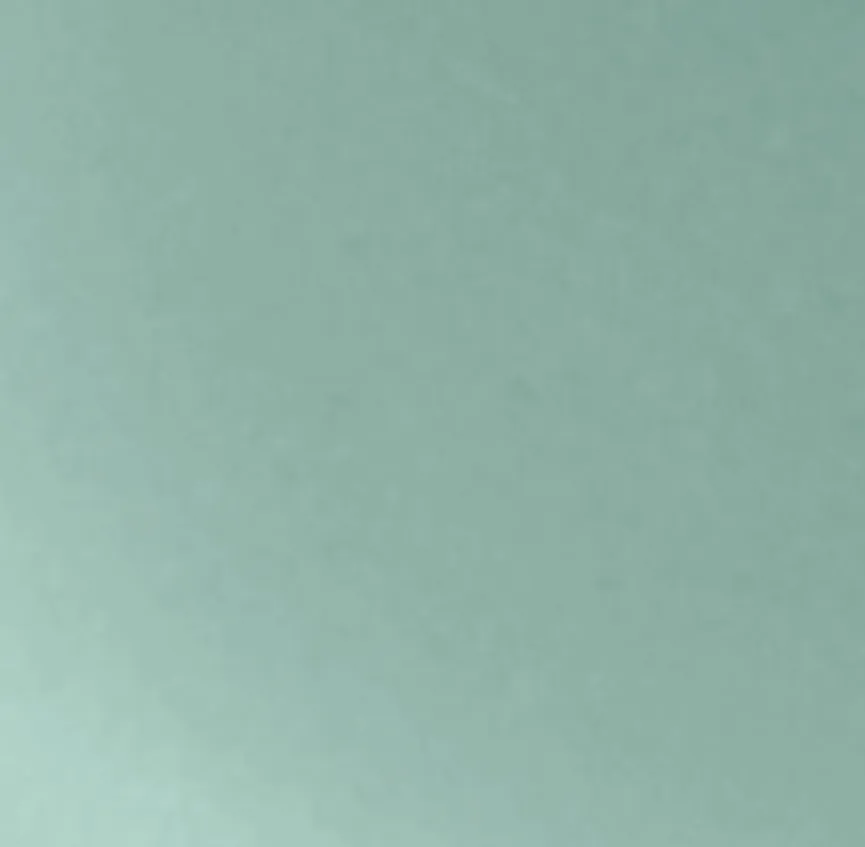 Gemüsemesser Basic PP-Griff material_farbe
