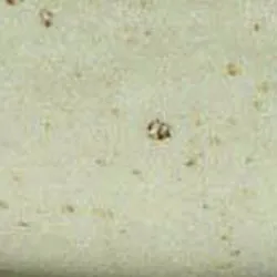 Beige material_farbe