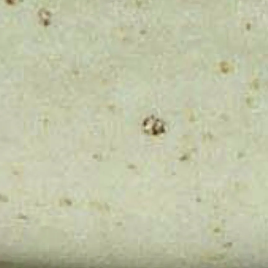 Müslischale material_farbe