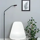 milieu
