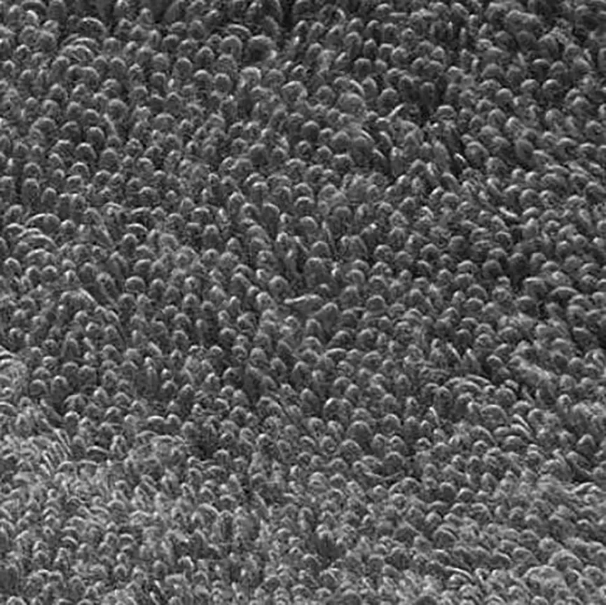 Gästetuch SW-Cuddly material_farbe