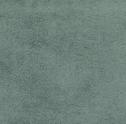 Pinie material_farbe