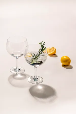 Gläserset - Gin Tonic