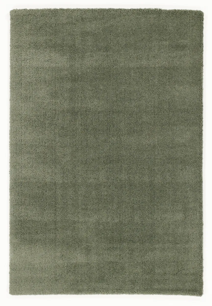 Premio hauptaufnahme