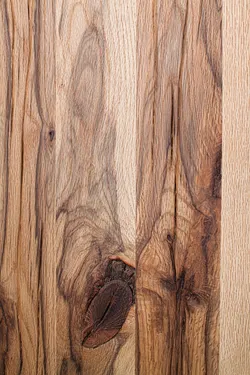 Wildeiche material_farbe