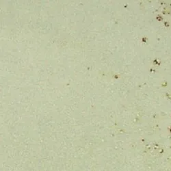 Beige material_farbe
