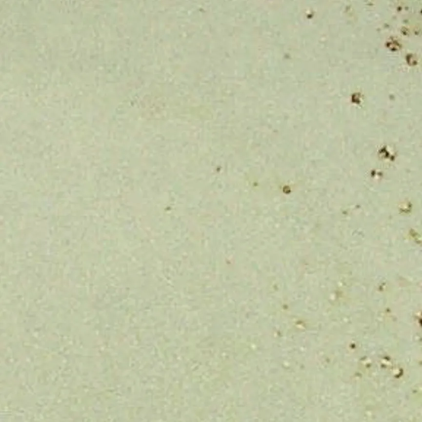 Speiseteller material_farbe